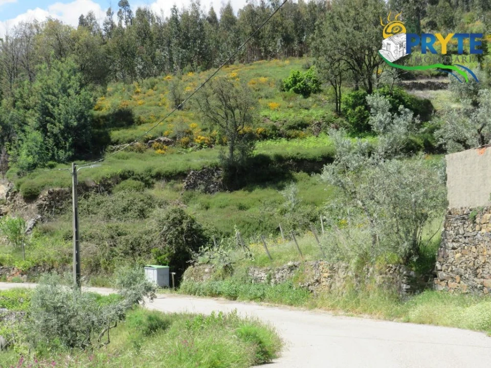 Terreno para Venda em Troviscal Foto 25
