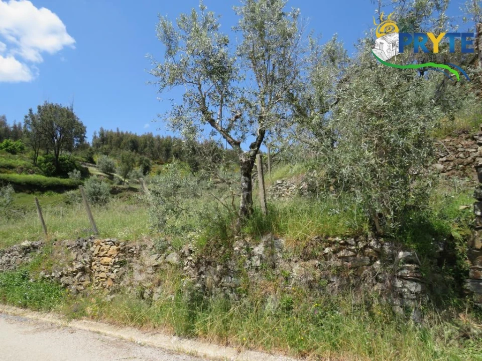 Terreno para Venda em Troviscal Foto 27