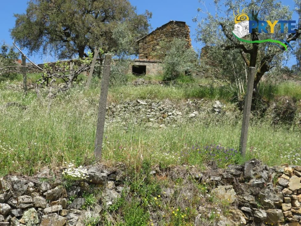 Terreno para Venda em Troviscal Foto 30