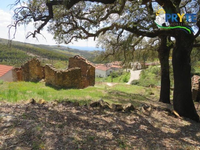 Terreno para Venda em Troviscal Foto 5