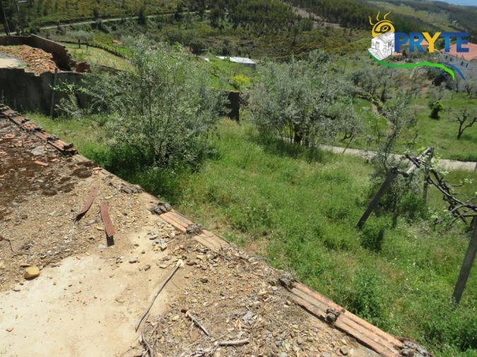 Terreno para Venda em Troviscal Foto 8