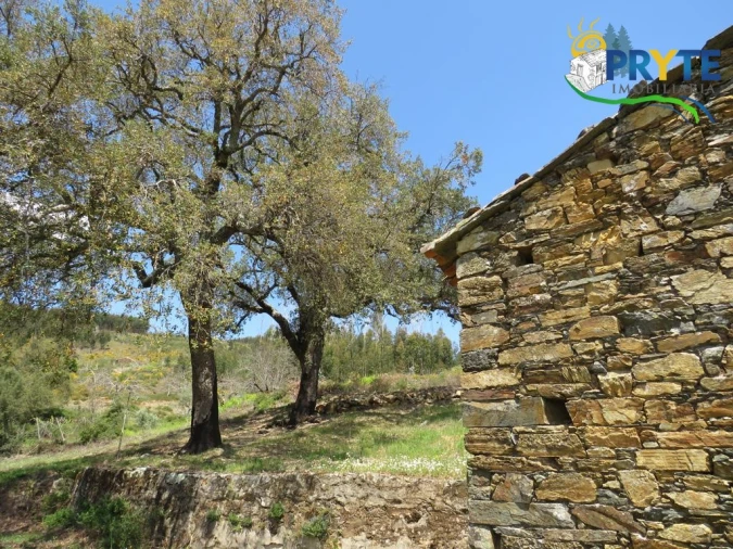 Terreno para Venda em Troviscal Foto 11