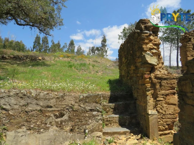 Terreno para Venda em Troviscal Foto 12
