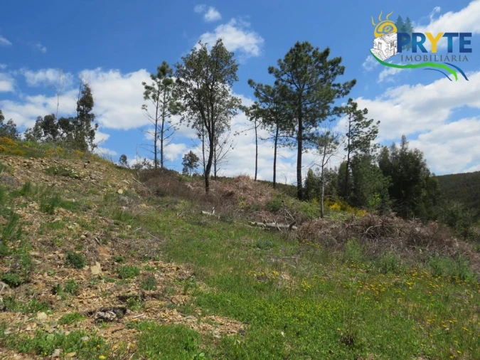 Terreno para Venda em Troviscal Foto 14