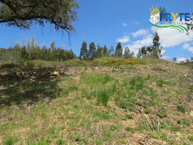 Terreno para Venda em Troviscal Foto 15