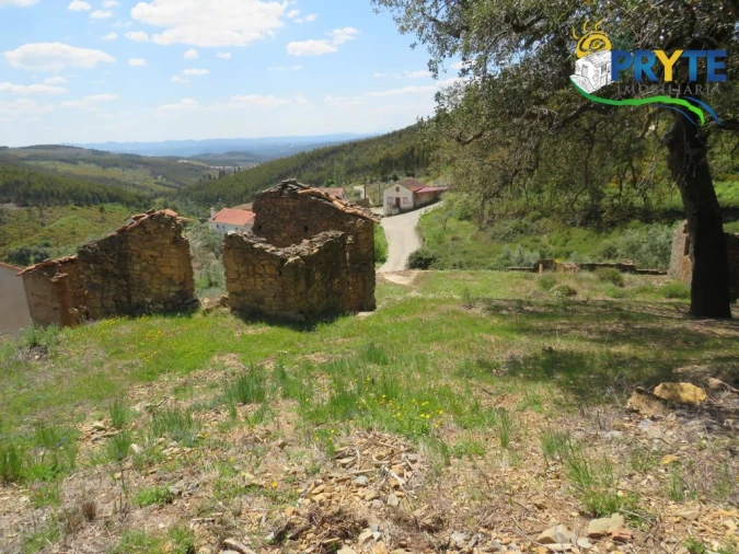 Terreno para Venda em Troviscal Foto 19