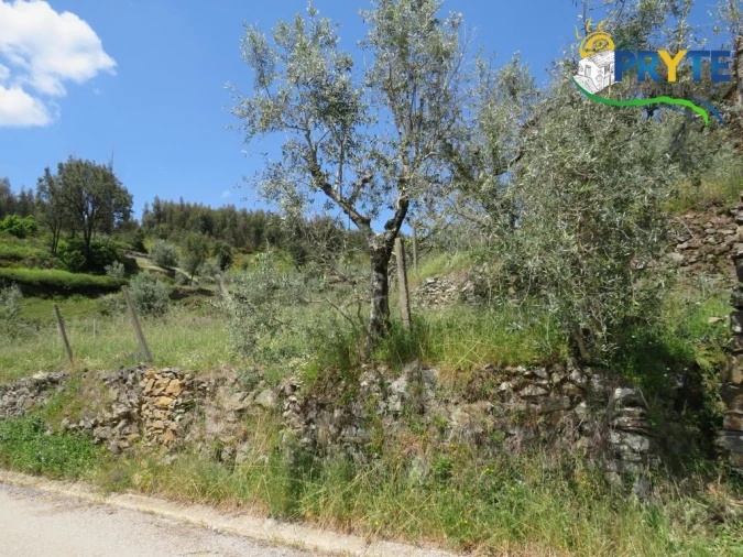 Terreno para Venda em Troviscal Foto 27