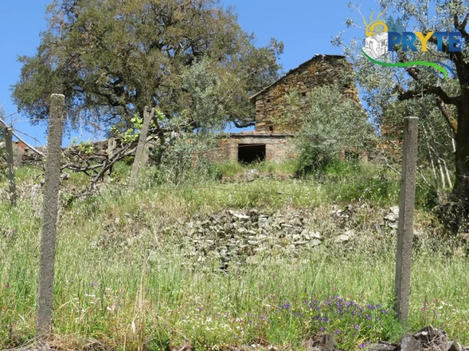 Terreno para Venda em Troviscal Foto 28