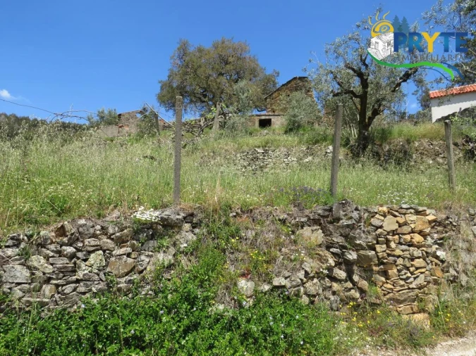 Terreno para Venda em Troviscal Foto 29