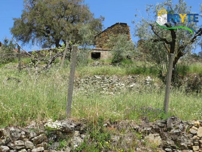 Terreno para Venda em Troviscal Foto 31