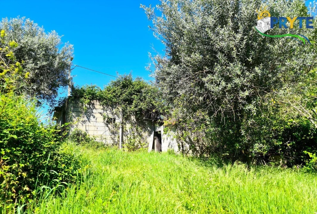 Quinta T4 para Venda em Sertã Foto 13