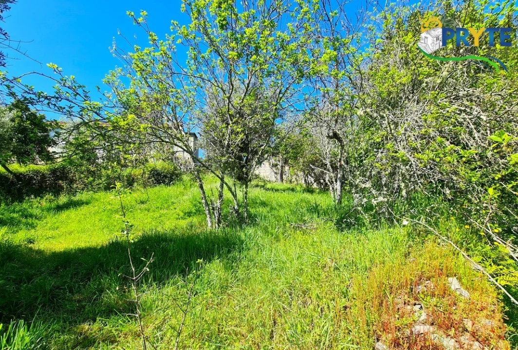 Quinta T4 para Venda em Sertã Foto 16