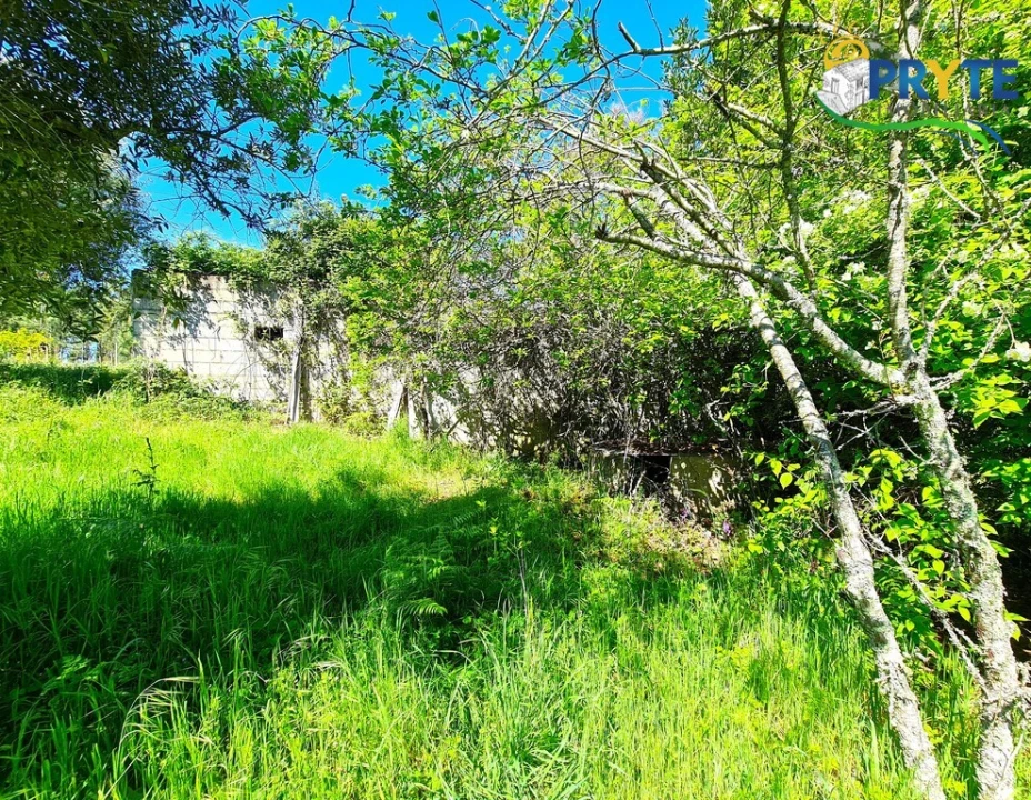 Quinta T4 para Venda em Sertã Foto 18