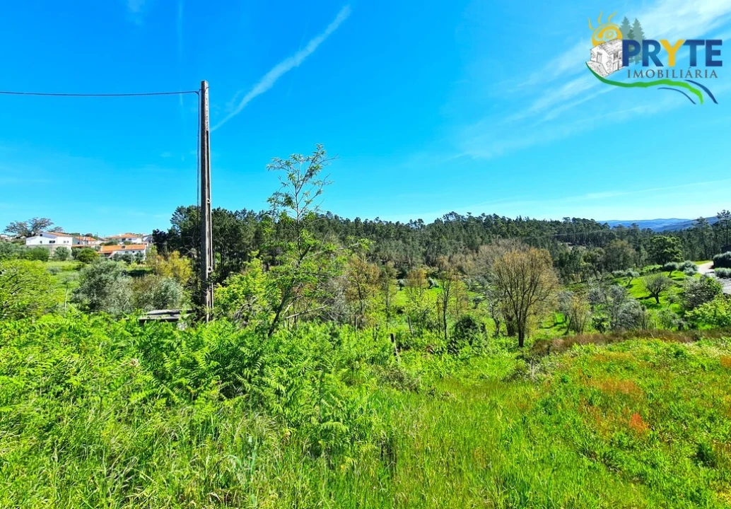 Quinta T4 para Venda em Sertã Foto 22