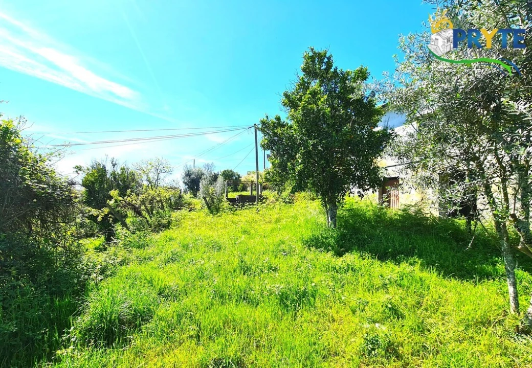 Quinta T4 para Venda em Sertã Foto 24