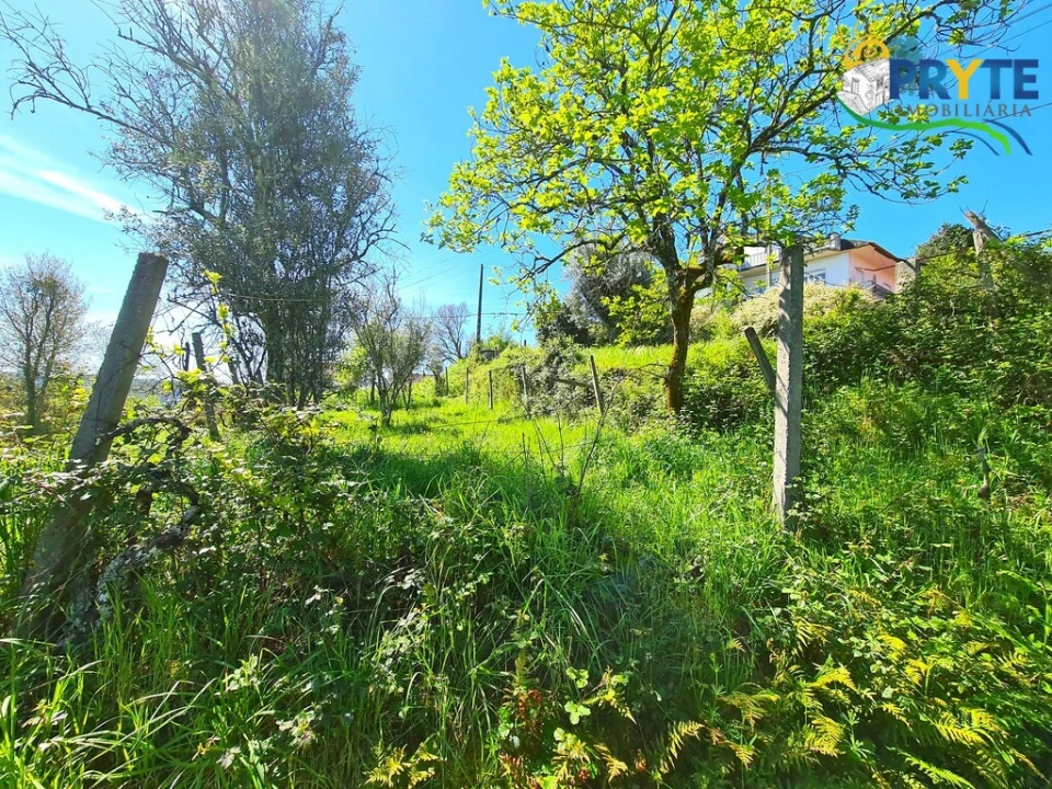 Quinta T4 para Venda em Sertã Foto 29