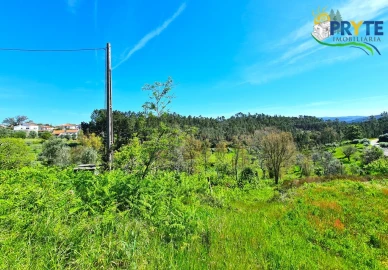 Quinta T4 para Venda em Sertã