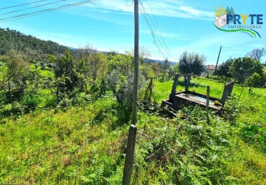Quinta T4 para Venda em Sertã