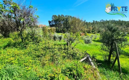 Quinta T4 para Venda em Sertã