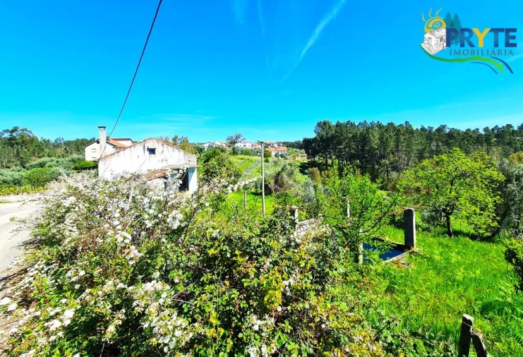 Quinta T4 para Venda em Sertã Foto 4
