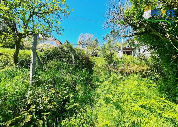 Quinta T4 para Venda em Sertã Foto 15