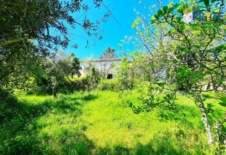 Quinta T4 para Venda em Sertã Foto 17