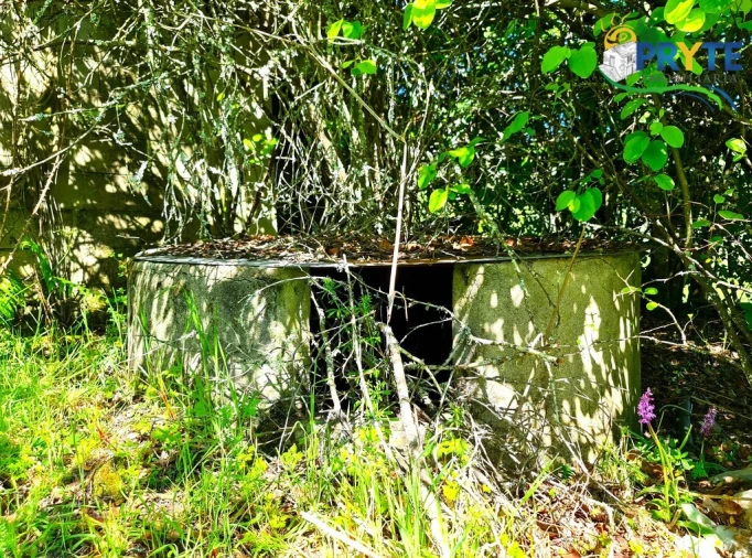 Quinta T4 para Venda em Sertã Foto 19