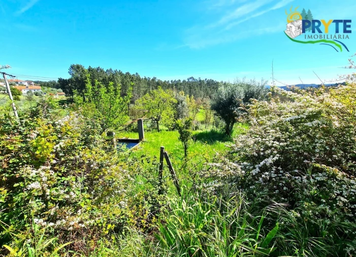 Quinta T4 para Venda em Sertã Foto 20