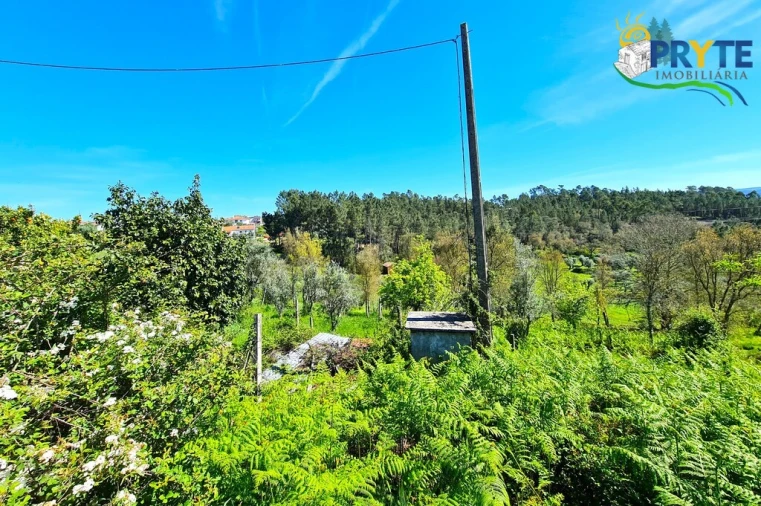 Quinta T4 para Venda em Sertã Foto 21
