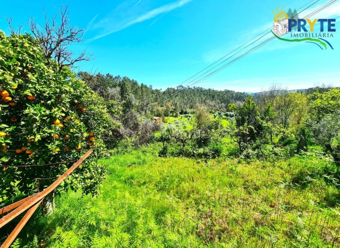 Quinta T4 para Venda em Sertã Foto 25