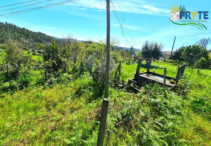 Quinta T4 para Venda em Sertã Foto 26