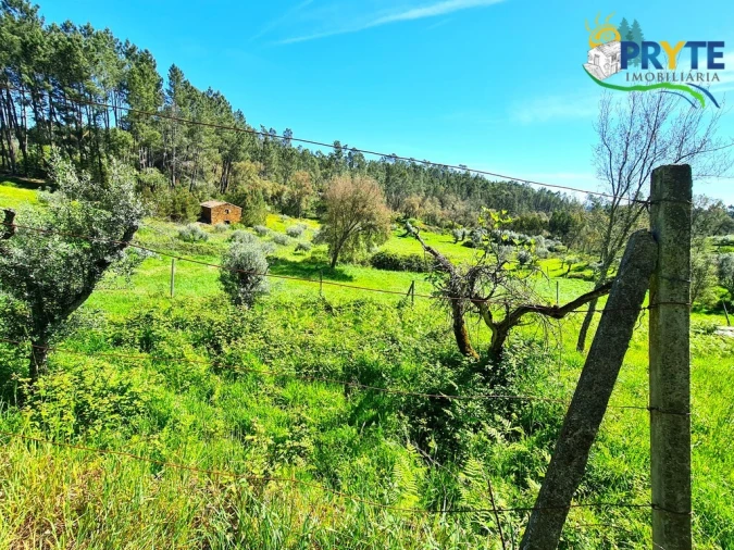Quinta T4 para Venda em Sertã Foto 31