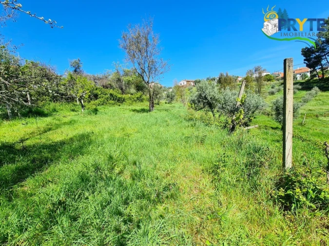 Quinta T4 para Venda em Sertã Foto 32