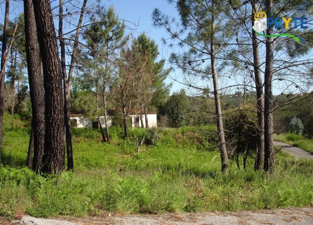 Terreno para Venda em Castelo Foto 7
