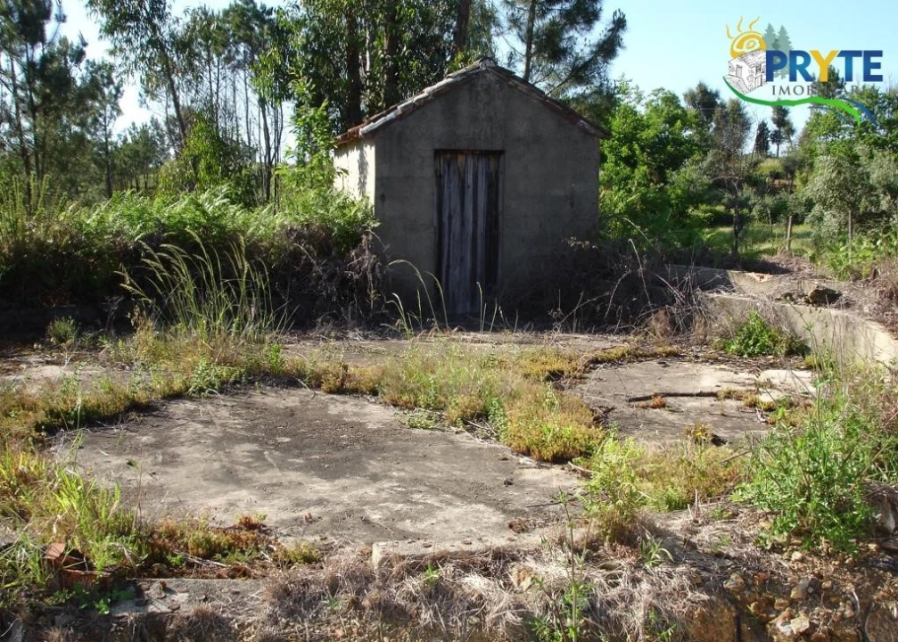 Terreno para Venda em Castelo Foto 10