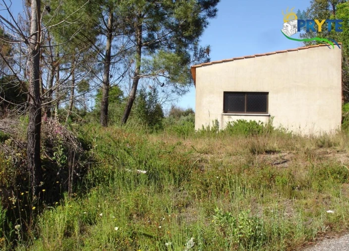 Terreno para Venda em Castelo Foto 2