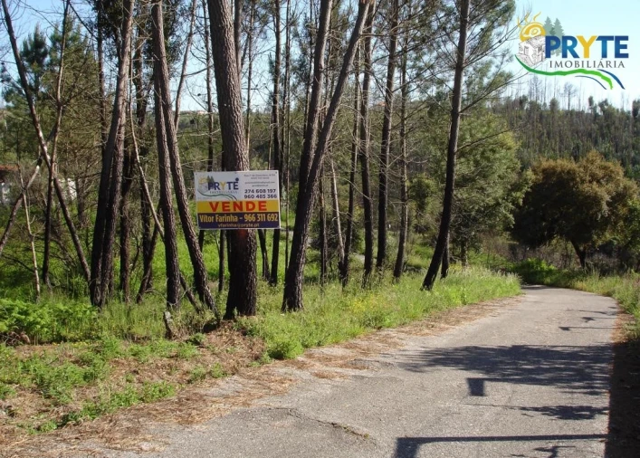 Terreno para Venda em Castelo Foto 9