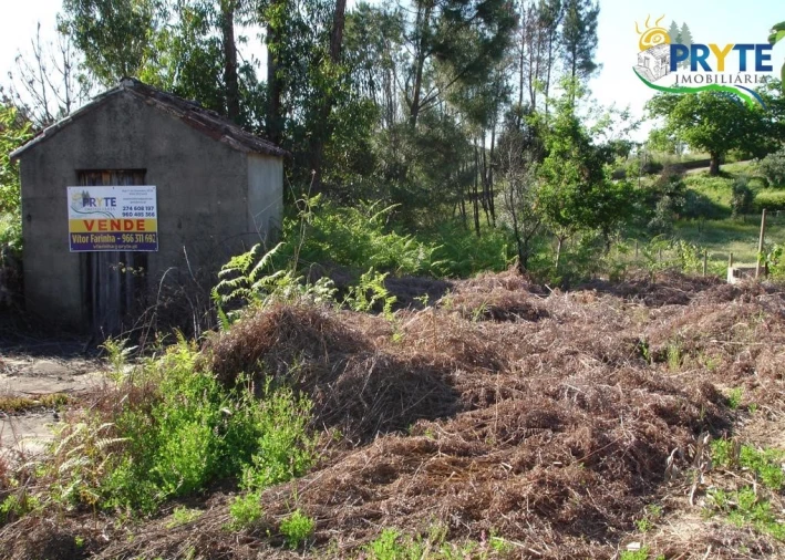 Terreno para Venda em Castelo Foto 11