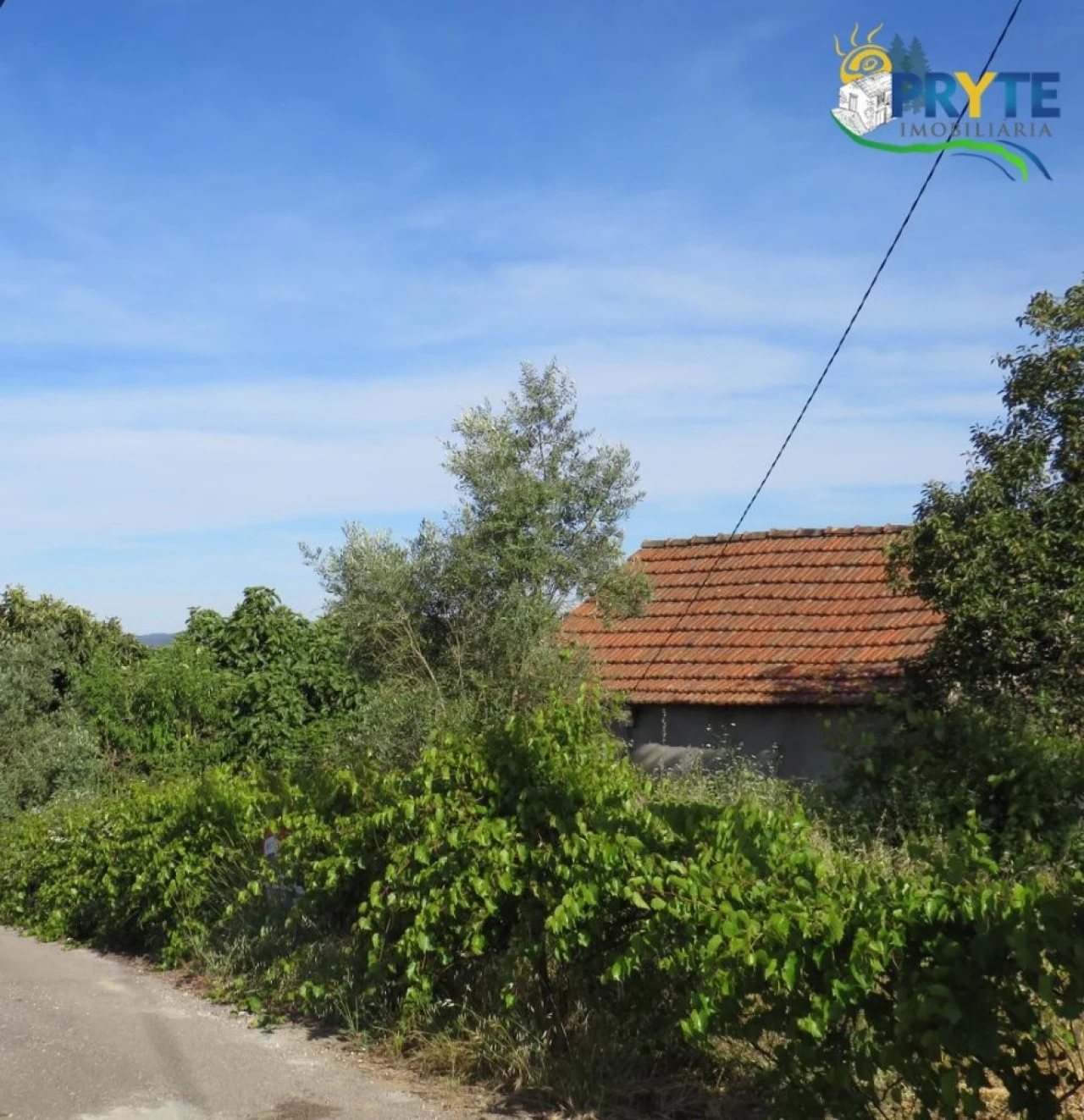 Terreno para Venda em Aguas Belas Foto 12