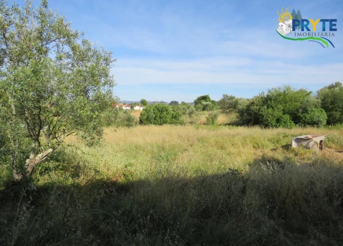 Terreno para Venda em Aguas Belas Foto 10