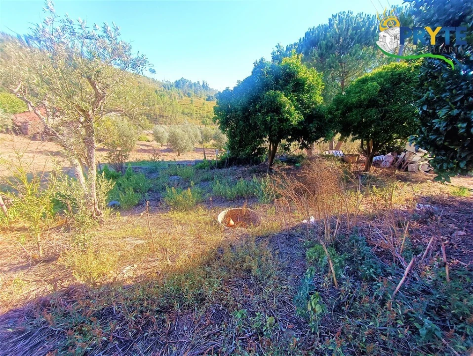 Moradia T4 para Venda em São João do Peso Foto 27