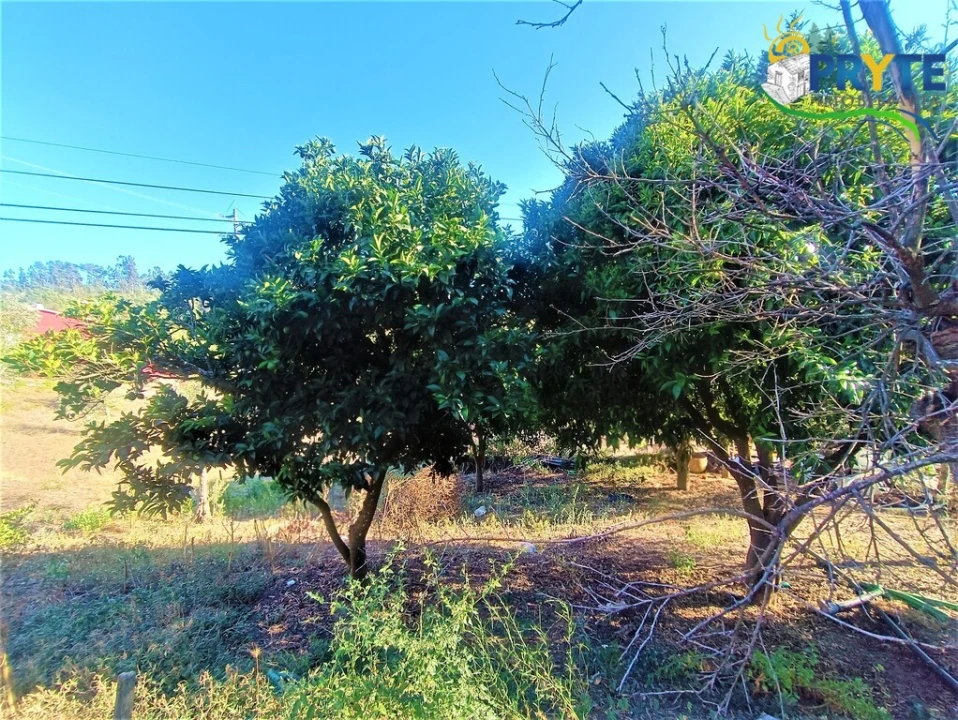 Moradia T4 para Venda em São João do Peso Foto 28