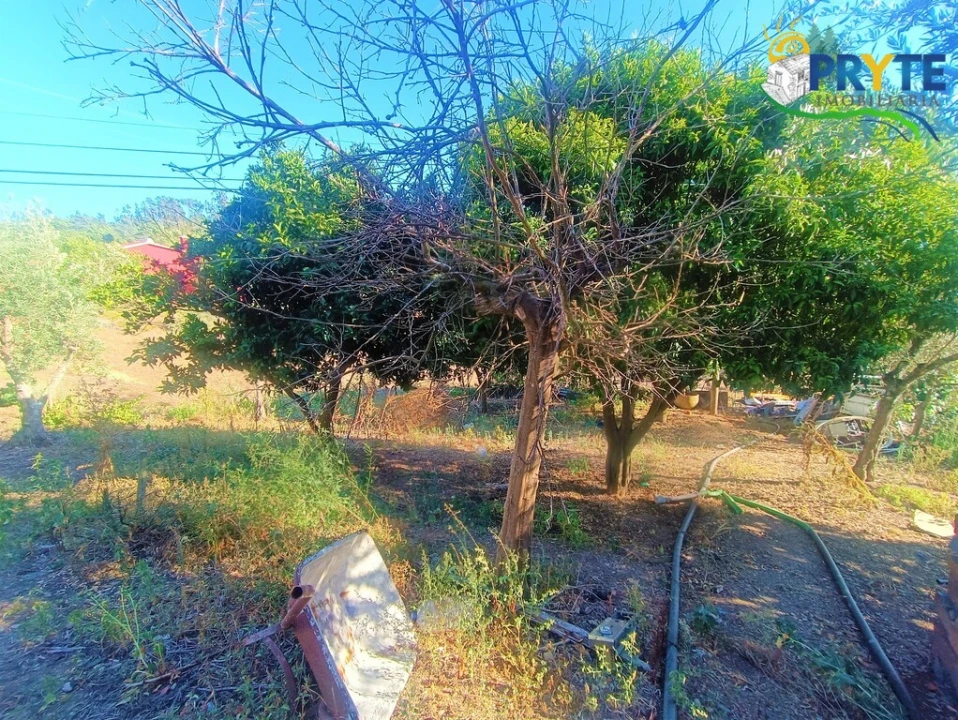 Moradia T4 para Venda em São João do Peso Foto 29