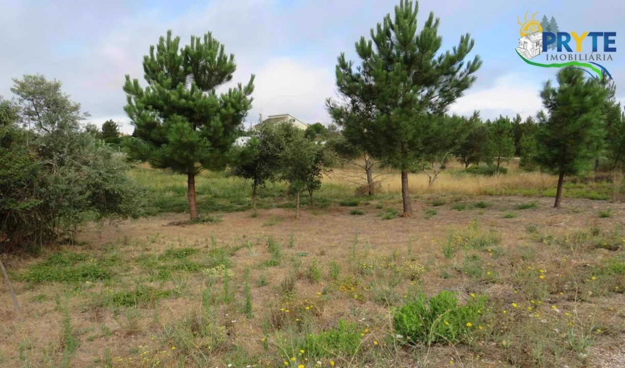 Terreno para Venda em Vila de Rei Foto 3