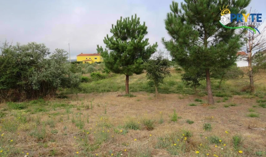 Terreno para Venda em Vila de Rei Foto 1