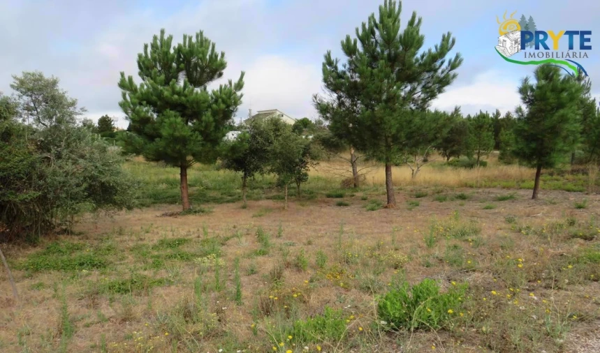 Terreno para Venda em Vila de Rei Foto 3