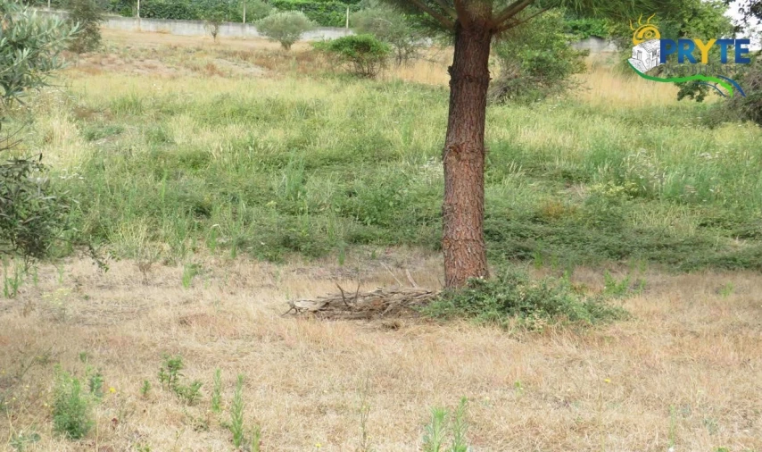 Terreno para Venda em Vila de Rei Foto 6
