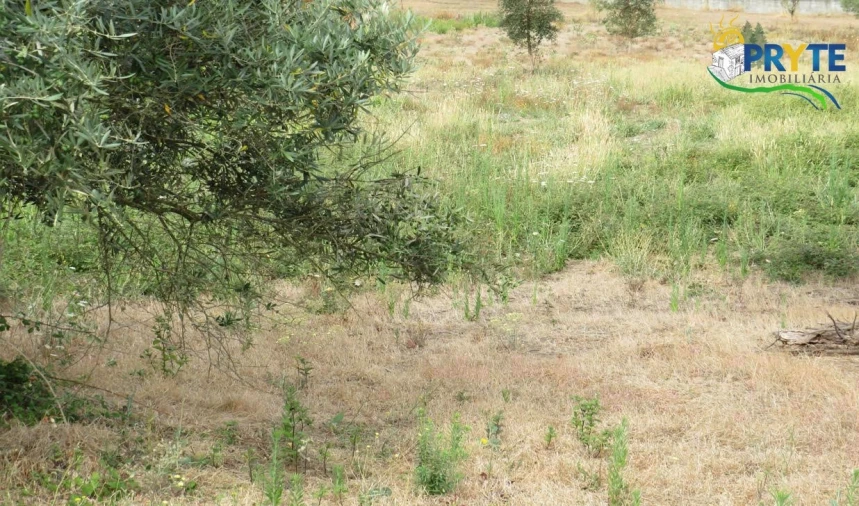 Terreno para Venda em Vila de Rei Foto 7