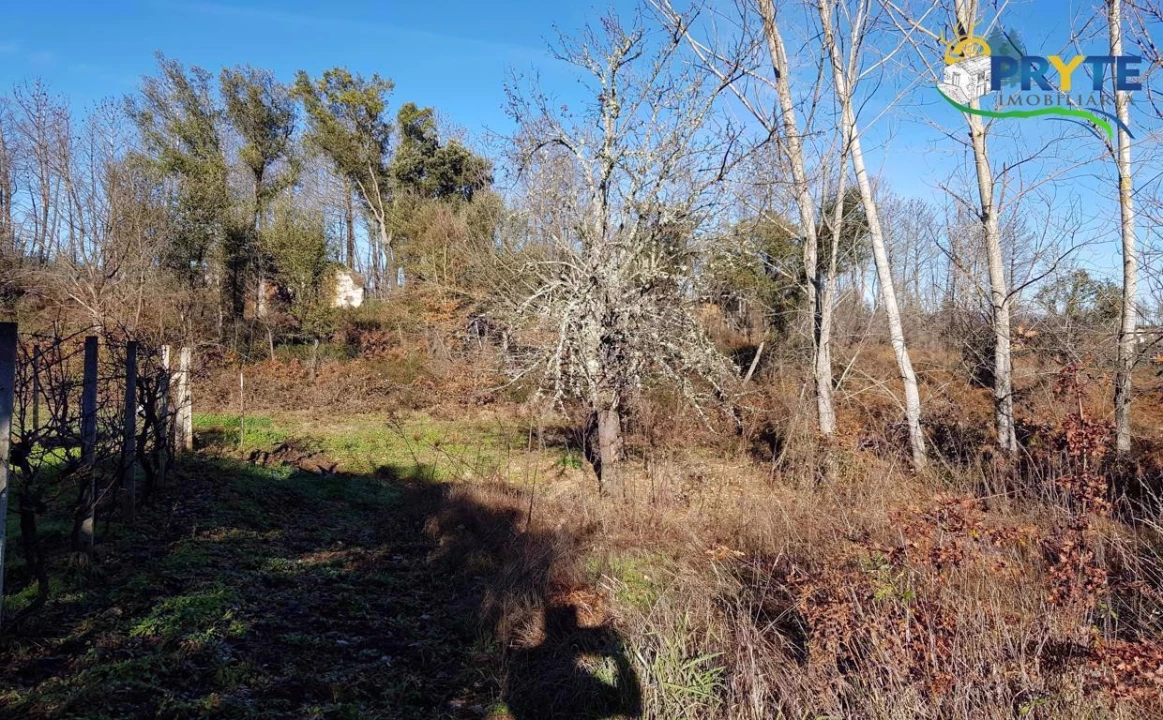 Quinta para Venda em Pedrogão Pequeno Foto 3