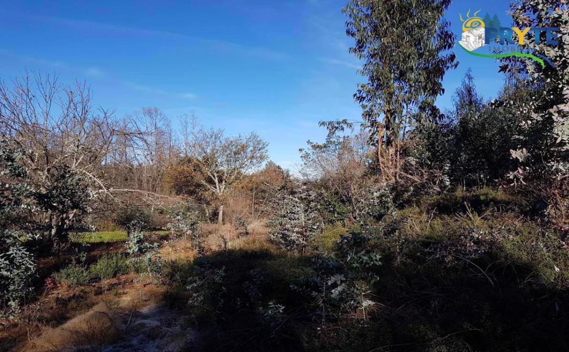 Quinta para Venda em Pedrogão Pequeno Foto 5